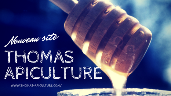 Thomas Apiculture
