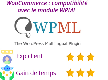 fonctionnalité-wpml fonctionnalité wpml